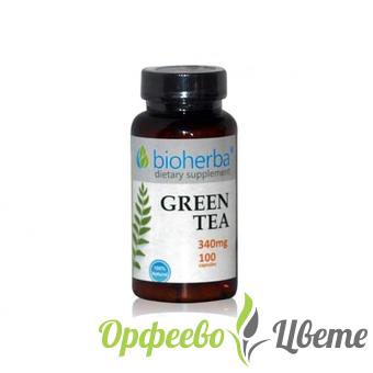 ХРАНИТЕЛНИ ДОБАВКИ Бъбреци и пикочен мехур Зелен чай 340 мг, 100 капсули Green tea